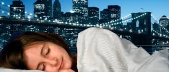 Finding an apartment without bed bugs