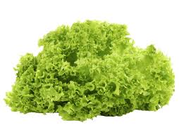 Maybe you would like to learn more about one of these? Lollo Bianco Und Lollo Rosso Edeka Unsere Heimat