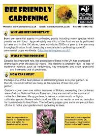 Wind plays a role in pollinating some plants, but **many garden blooms depend exclusively on bees**. Ywmyvg3dyf10 M