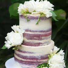 We did not find results for: Tiered Semi Naked Layer Cake Cake Bake Kiwi