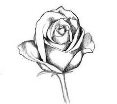 Tumblr Rose Drawing Black Rose Comment Dessiner Une Rose Dessin Rose Dessin Fleur