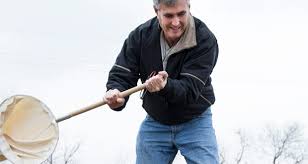 Not quite a plague, but grasshopper destruction looms across state