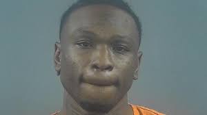 Bowling Green man charged following shots fired report