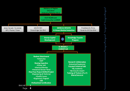 Humancapient consulting sdn bhd (formerly known as human capital development sdn bhd). Icoe Healthcare Cluster Working Structure Focused On Medical Download Scientific Diagram