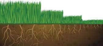 Grass clippings is one of my favorite mulch materials but i can't use it all at once when it's fresh. Six Lawn Mowing Tips Milorganite