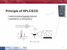 The hplc detector, located at the end of the column detect the analytes as they elute from the chromatographic column. 01 Electrochemical Detection In Hplc Youtube