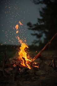 The Best Wood To Use As Firewood In A Campfire Camping Wallpaper Fire Photography Nature Wallpaper