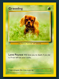 Check spelling or type a new query. Poke Pics Trading Card Maker Fur Android Apk Herunterladen