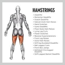If you take the time to learn the. All Hamstrings Exercises Apper Pa Google Play