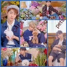 In an average week, wild canines eat a variety of meats on four days, forage plants for two, then often fast for a day. Cat Dog Txt With Thier Pets Sooo Cute K Pop Amino