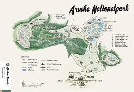 For the absolute safari adventure, the serengeti national park is a vast expanse of grassland which is home to the annual migration of more than 1 million bearded wildebeest and over 250,000 zebras. Arusha Nationalpark Abenteuer Tansania Individuelle Reisen Nach Tansania