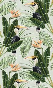 Tropical Birds Of Paradise Wallpaper Birds Of Paradise Wallpaper Paradise Wallpaper Tropical Wallpaper Plant Wallpaper