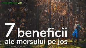 In functie de cat de des mergi pe jos, poti reusi sa dai jos o jumatate de kilogram pe saptamana 1.6 kilometri echivaleaza cu arderea a aproximativ 100 de calorii. De Ce Mersul Pe Jos Este Atat De Sanatos Viataverdeviu Ro