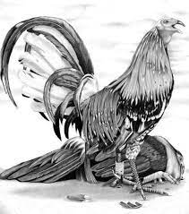 We did not find results for: Fighting Rooster Tattoo Home Facebook