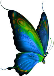 peacock feather png transparent images butterfly clipart full size clipart 3735713 pinclipart peacock feather png transparent images