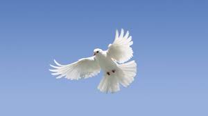 De.seekweb.com has been visited by 1m+ users in the past month Free Christian Counseling Training Low Cost Certifications And Degrees Christian Counseling Training Word Of Life