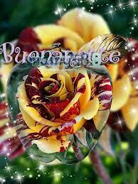 Pin Di Luana Su Buonanotte Buon Compleanno Buona Notte Buonanotte