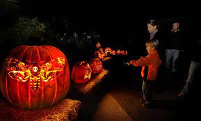 Maybe you would like to learn more about one of these? Night Of 1 000 Jack O Lanterns Chicago Botanic Garden Groupon