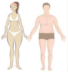 Epingle Sur Metabolique Nutrition