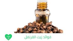 فوائد زيت القرنفل للبشرة والشعر وأهم فوائده للجسم بشكل عام dog food recipes food food animals