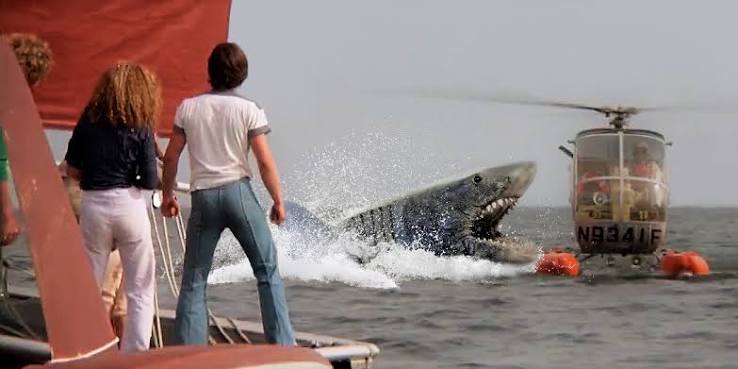 Review- Jaws 2 (1978) – Meathook Cinema