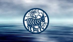 key traits of the water goat chinese zodiac sign