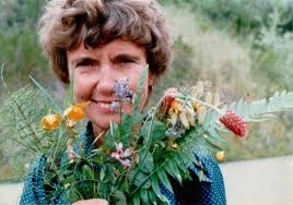 Beverly Maul Obituary (2017)