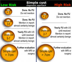 The Radiology Assistant Ovarian Cysts Diagnostic Work And Roadmap Dermoid Ovarian Cyst Ovarian Cyst Ovarian Cyst Treatment