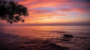 Calculate local times for sunrises, sunsets, meridian passing, sun distance, altitude and twilight, dusk and dawn times. Why Do We See Vibrant Colors At Sunrise And Sunset