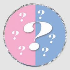 Question Mark Gender Reveal Sticker Round Zazzle Com Gender Reveal Invitations Gender Reveal Gender Reveal Party Invitations
