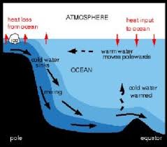 Trenches are the deepest parts of the ocean, the greatest known depth being that of the challenger deep in the marianas trench where a depth of 11. Vocabulary Deep Ocean Currents Ocean Science Earth And Space Science Earth Science Middle School