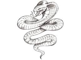 Tattoos Drawings On Paper Jpg 1024 768 Cobra Tattoo Tattoo Drawings Tattoo Design Drawings