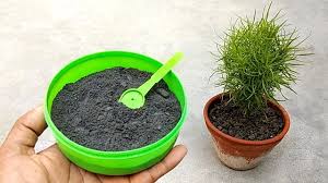 Natural And Free Fertilizer For Any Plants Anti Fungal Wood Ash Fertilizer For Plants Fertilizer Garden Fertilizer