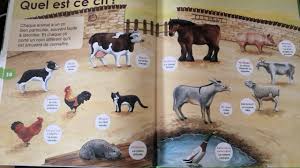 5 (1 vote) 1 commentaire. Devinettes Animaux De La Ferme Youtube