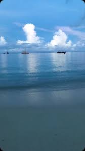 EREZ BENAMI 🇲🇽🇳🇮🇺🇸