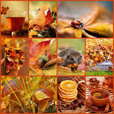 Katarina Collage By Miss Katarina Herbst Bilder Jahreszeiten November Bilder