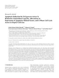 29 ogos 2016 hari / masa : Pdf Apoptosis Induction By Polygonum Minus Is Related To Antioxidant Capacity Alterations In Expression Of Apoptotic Related Genes And S Phase Cell Cycle Arrest In Hepg2 Cell Line