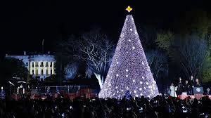 And it looks as magical as it sounds. 10 Best Christmas Trees In Washington Dc You Must See This December Kid 101