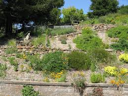 Bill And Linda Dick S Garden 31 Bringing Back The Natives Garden Tour