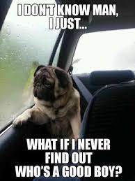 50 Hilarious And Relatable Dog Memes For National Dog Day Funny Dog Pictures Funny Dog Memes Bones Funny
