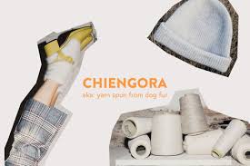 Wiktionary(0.00 / 0 votes)rate this definition What S Your Beanie Oh It S Dog Modus Instarsia Launches Crowdfunding For Chiengora Label Sustainable Fashion Matterz