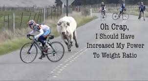 Comparing Power To Weight Ratio Cycling Motivation Bicycle Sports Humor