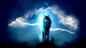 Lone Wolf Wallpapers Wallpaper Cave A collection of the top 43 lone wolf wallpapers and backgrounds available for download for free. lone wolf wallpapers wallpaper cave