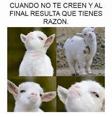 Cuando Note Creen Yal Final Resulta Que Tienes Razon Meme On Ballmemes Com