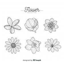 362 icons in 21 icon sets. Free Hand Drawn Floral Collection Svg Dxf Eps Png Pin By Etsy On Products Cutting Files Flower Svg Filing Pinterest