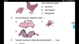Check spelling or type a new query. Soal Ipa Sd Kelas 2 Dan Jawaban Youtube