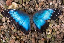 Pin En Adriana Mosquera Jewelry