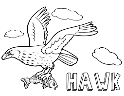 All hawk coloring pages download draw related keywords suggestions click view printable version. Hawk Catching Fish Coloring Page Free Printable Coloring Pages For Kids