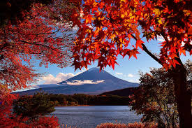 Make social videos in an instant: Fuji Kawaguchiko Autumn Leaves Festival 2018 Japan Travel Guide Jw Web Magazine Autumn Leaves Festival Autumn Leaves Fuji