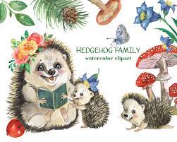 Hedgehog Family Watercolor Clipart Cute Little Hedgehog Etsy Watercolor Clipart Clip Art Watercolor Animals